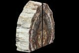 Tall Madagascar Petrified Wood Bookends #87592-1
